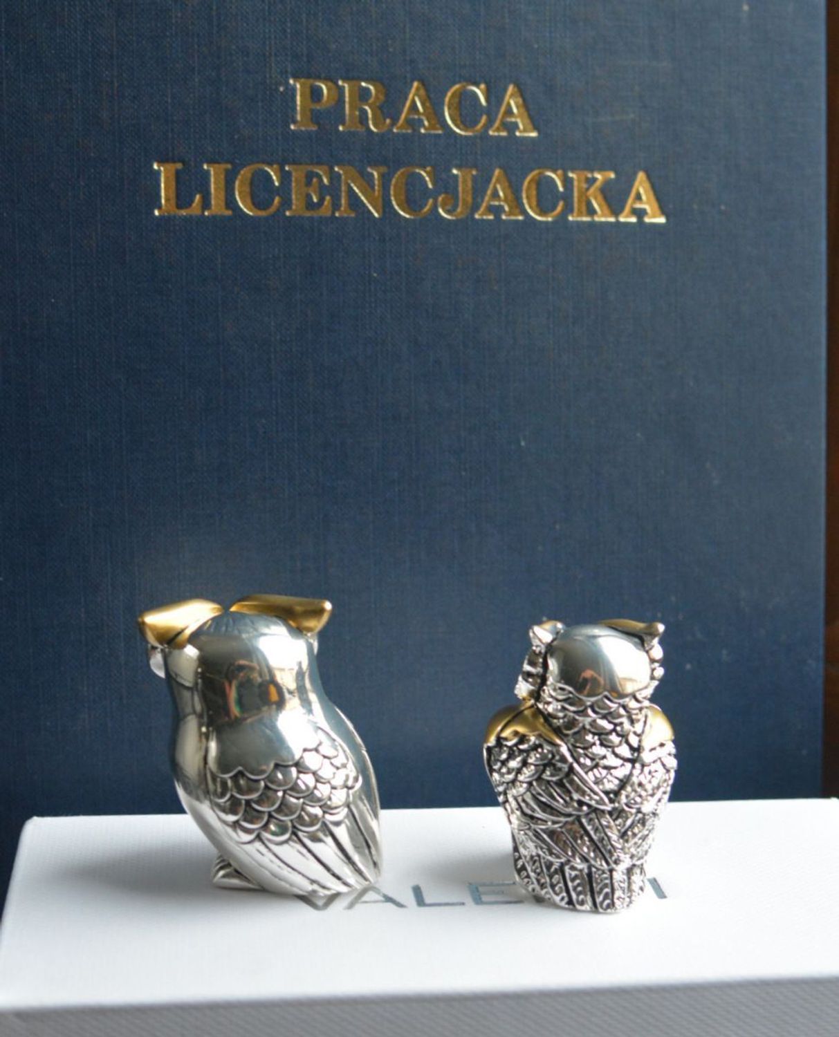 Figurka Sowa na szczęście 5,5cm VR17061 ORO. Figurka sowy to idealny prezent na wszelkie okazje, zaręczyny, złote gody, obchody, lecie, urodziny, rocznice oraz dekorację. Posrebrzana sówka..jpg